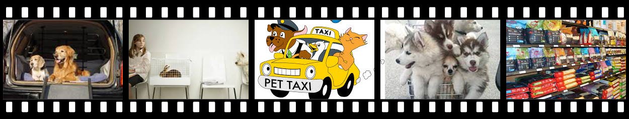Pet Taxi and Delivery Services