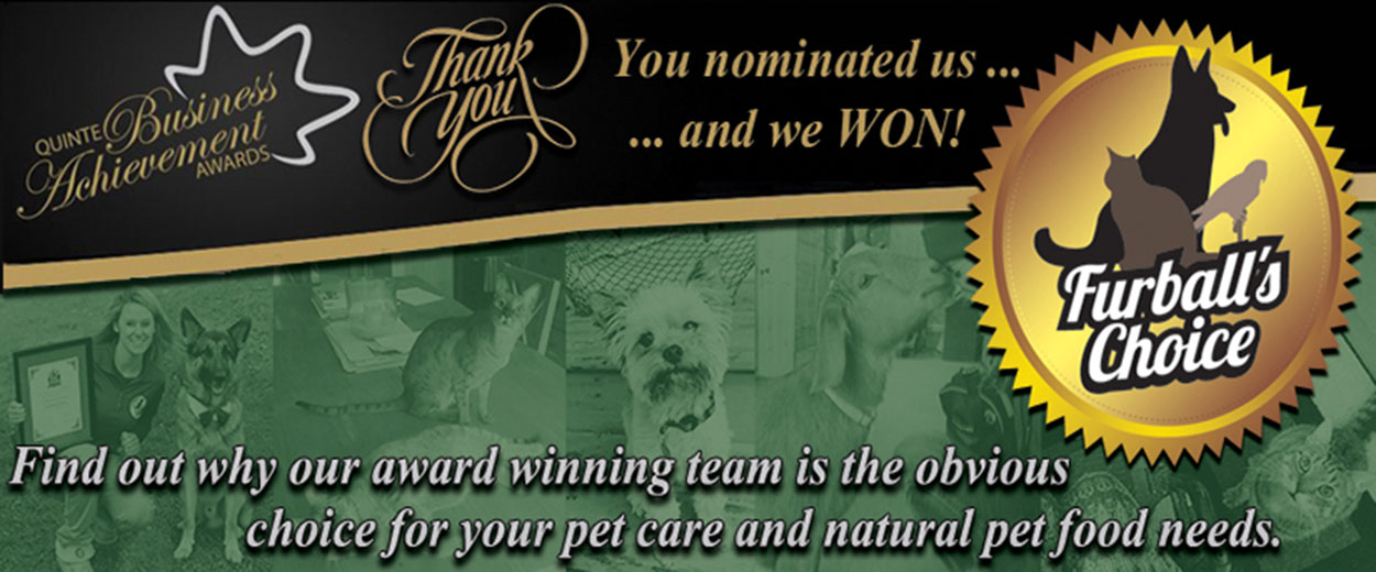 Quinte's Only Multi-Award Winning Pet Care Company!