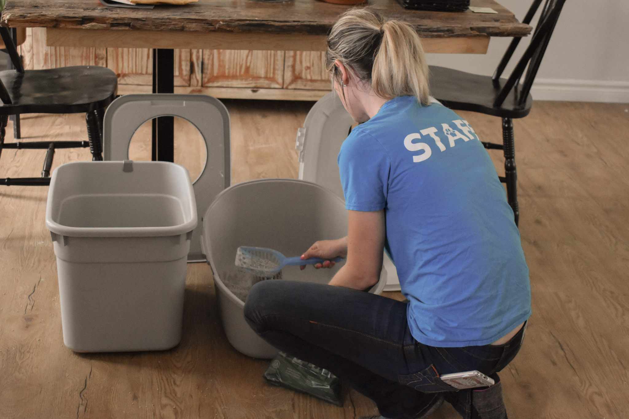 InHome Pet Sitting Furball's Choice Pet Sitting, Dog Walking