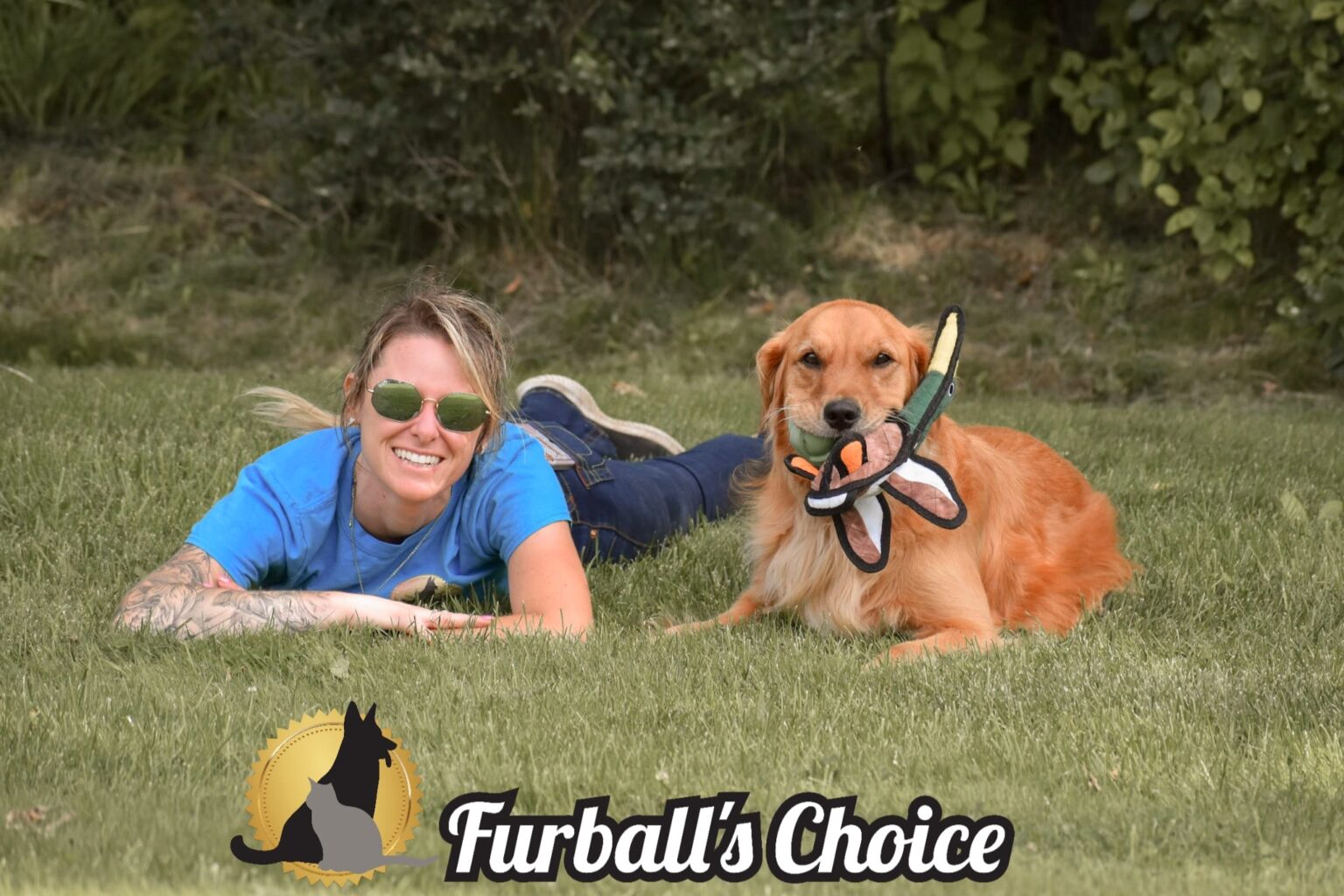 Raw Pet Food Furball's Choice Pet Sitting, Dog Walking, Natural and